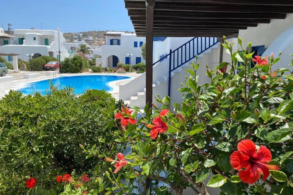 Pigeon House Ornos Beach Mykonos Town Extérieur photo
