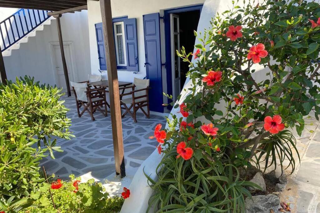 Pigeon House Ornos Beach Mykonos Town Extérieur photo